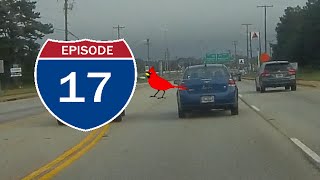 Bad Drivers of Greenville SC Ep. 17