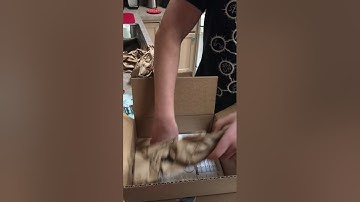 Unpacking Prototype Box & Board