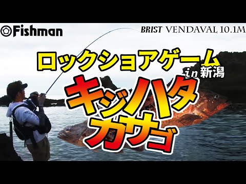 ショアロックゲームin新潟【キジハタ攻略】Fishman TV Light Game division vol.4