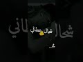 Didinecanon16 Officiel Papito Musicapp كلام من ذهب Maryoul Musicplayer Music تيك توك