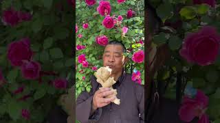 Authentic Country Flavor: Explore Delicacies from My Hometown