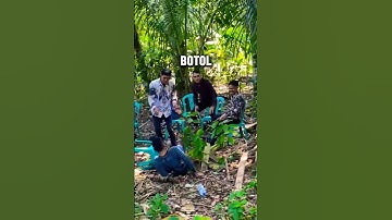 Gara-gara sebotol minuman #shorts #viralshorts