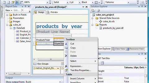 MIcrosoft BI Training Video - SSRS (Advanced Options)