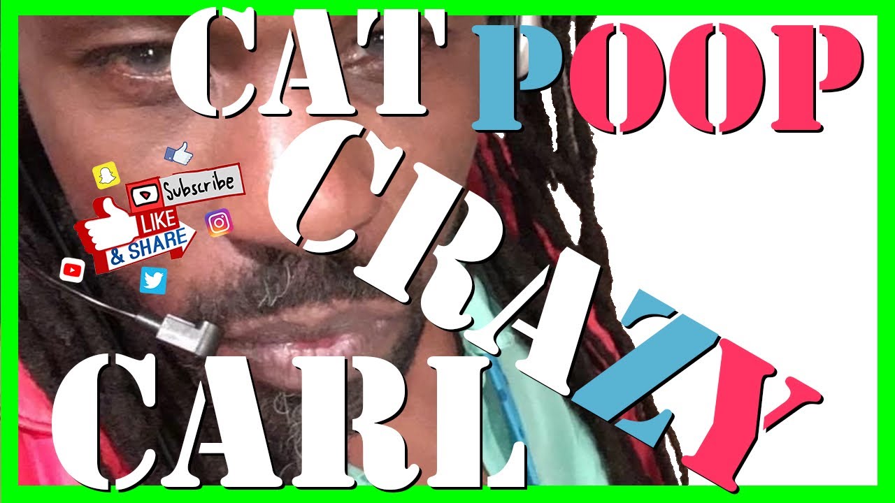 Is Cat Poop Clean