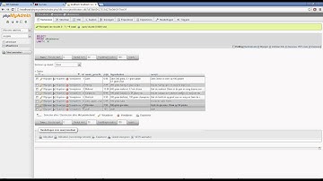 Java Database Application