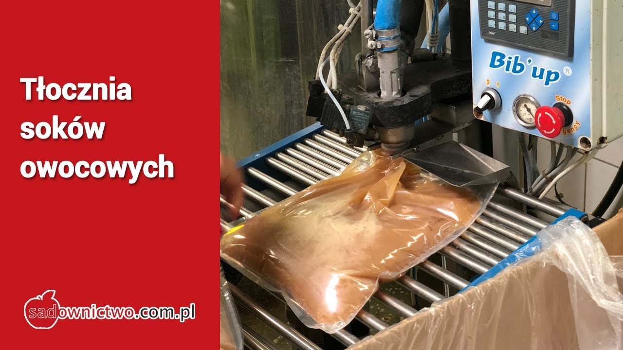 Tłocznia soków owocowych - [Mateusz Pluta]