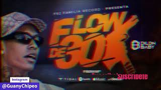 FLOW DE 30 DOBLE TONO  Dilon Baby  CarAudio Guany Chipeo