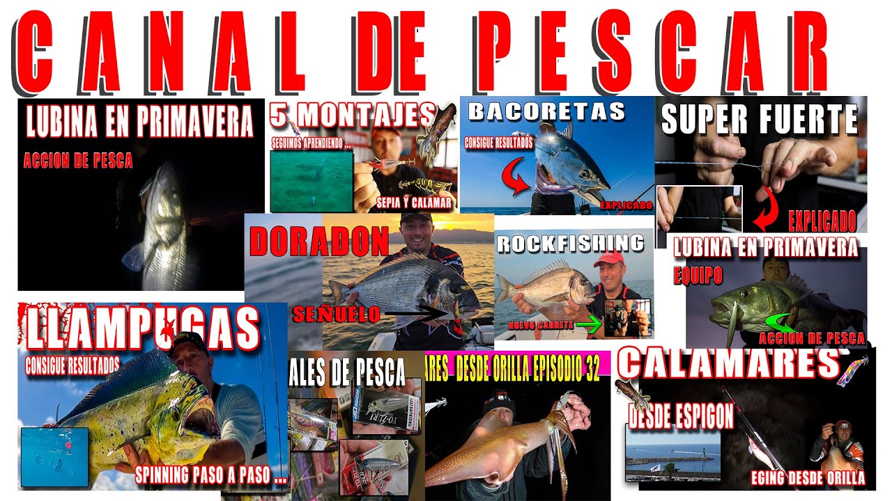 canal de pescar