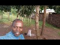 Would you do this in the village 🤣@WODEMAYA #villagelife #funny