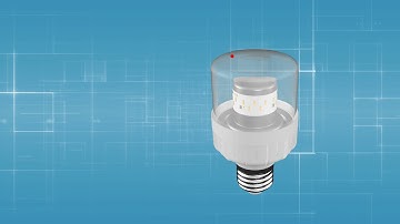 Đèn LED chuyên dụng cho chiếu sáng cây Thanh Long