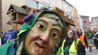 55 Jahre Froher Faschingsclub Gerlingen Jubiläumsumzug 2026