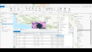 1. Introduction to ArcGIS Pro. 1.9 Adding Tutorial Data - looking at attribute tables