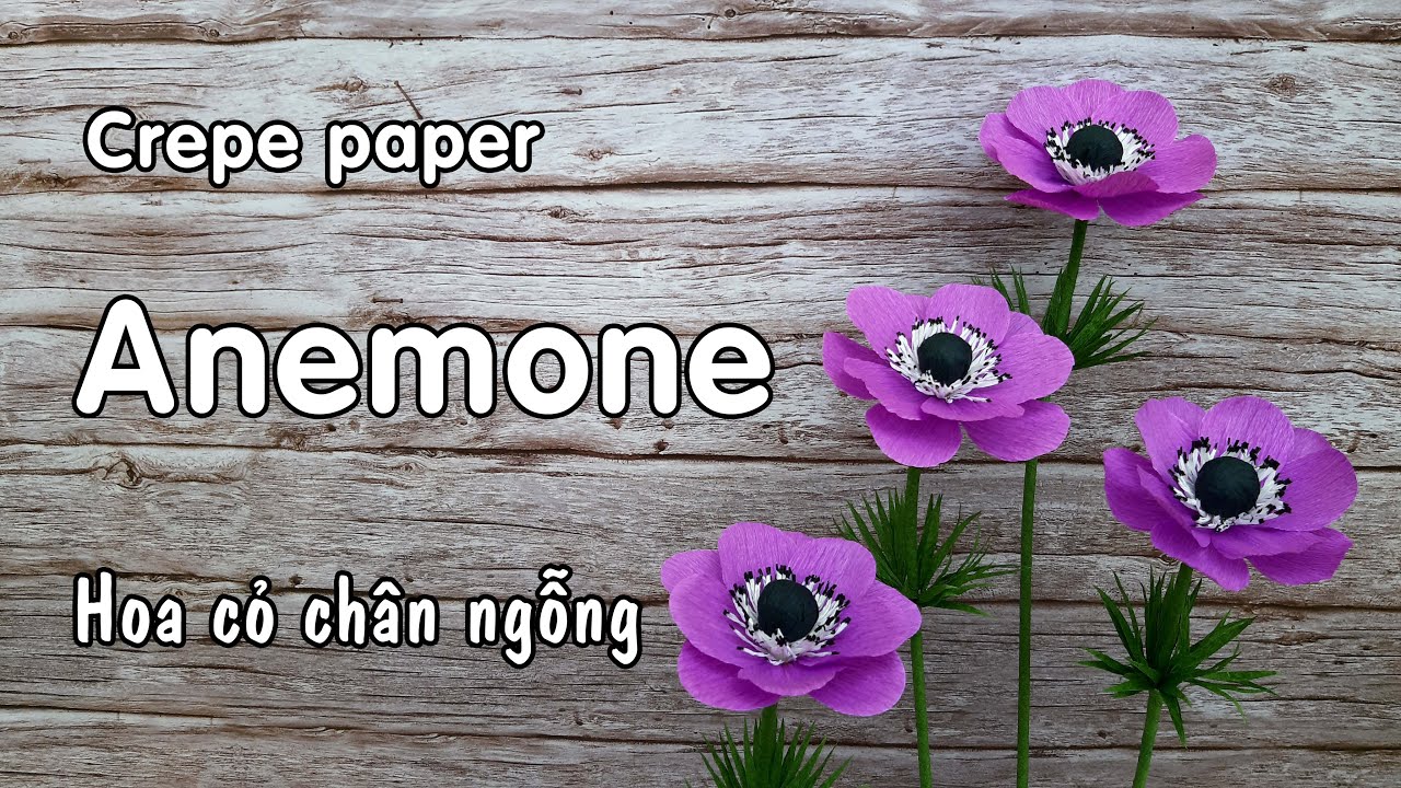 Cách làm hoa Cỏ Chân Ngỗng bằng giấy nhún | Anemone... - youtube