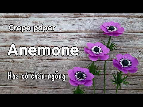 Cách làm hoa Cỏ Chân Ngỗng bằng giấy nhún | Anemone paper flower tutorial | Góc nhỏ Handmade | Foci