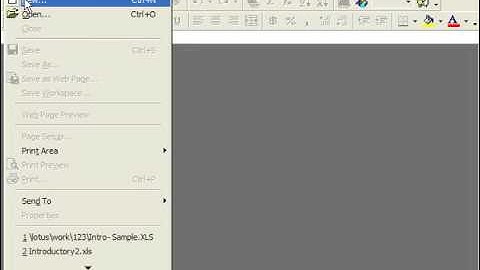 Excel 2003 Tutorial Creating a New Workbook-2000 & 97 Microsoft Training Lesson 2.1