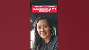 One ostrich egg is equal in volume to roughly how many chicken eggs?