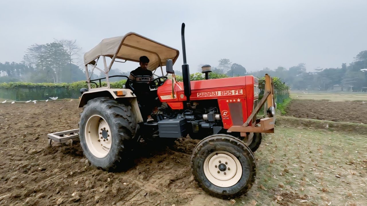 2wd Swaraj Tractor Working In Kaltivator | Swaraj 855 FE Tractor Videos | Rafiktractorwala 