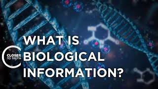 What is Biological Information? | Episode 2302 | Closer To Truth