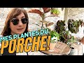 LES PLANTES DU PORCHE 🪴 | CES PLANTES QUI DEVRAIENT ETRE A L&#39;INTERIEUR | LE PETIT JARDIN DE BOB