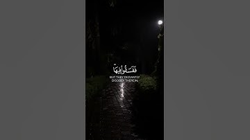 تلاوة صباحيه 🌷🌱