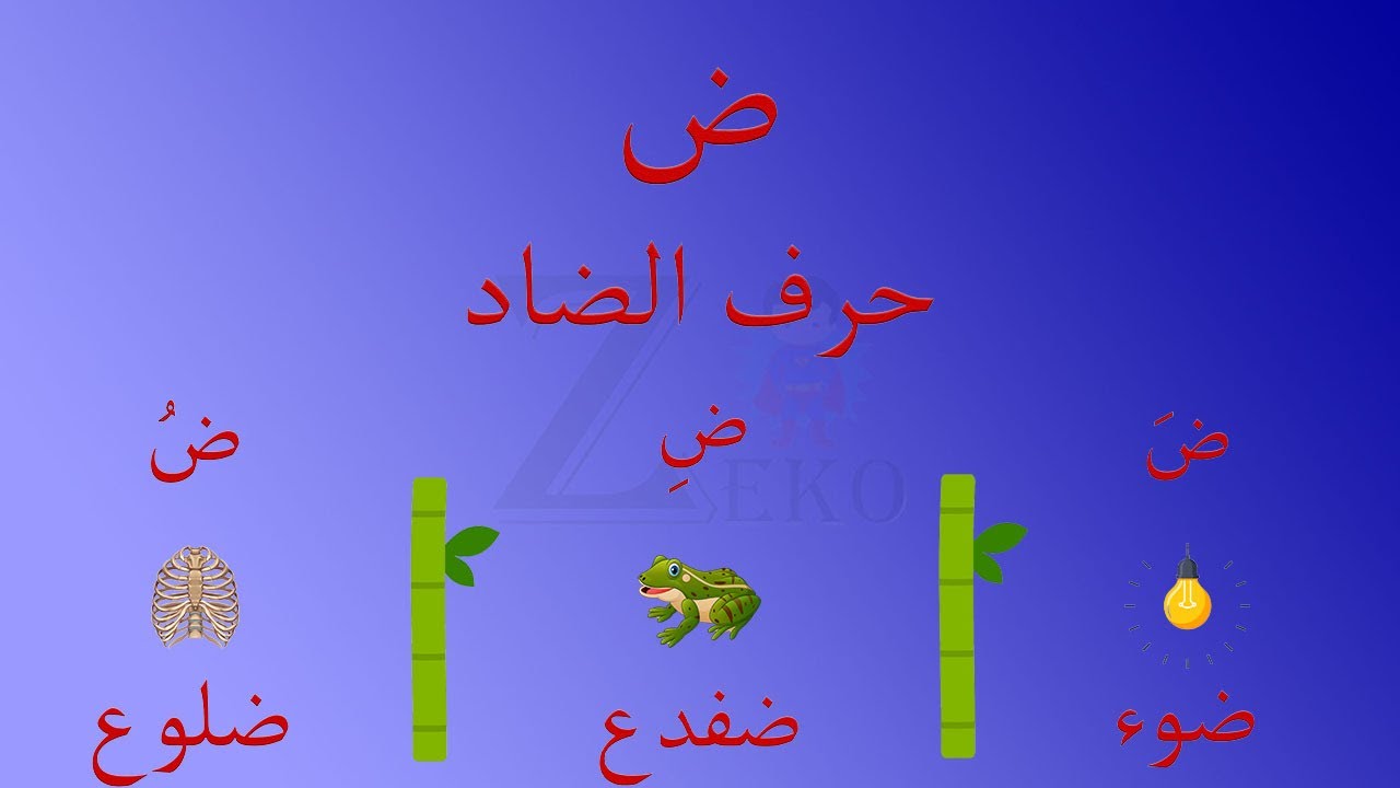 حرف الضاد ( ض ) | الحروف الأبجدية العربية | قناة زيكوو | Arabic ...