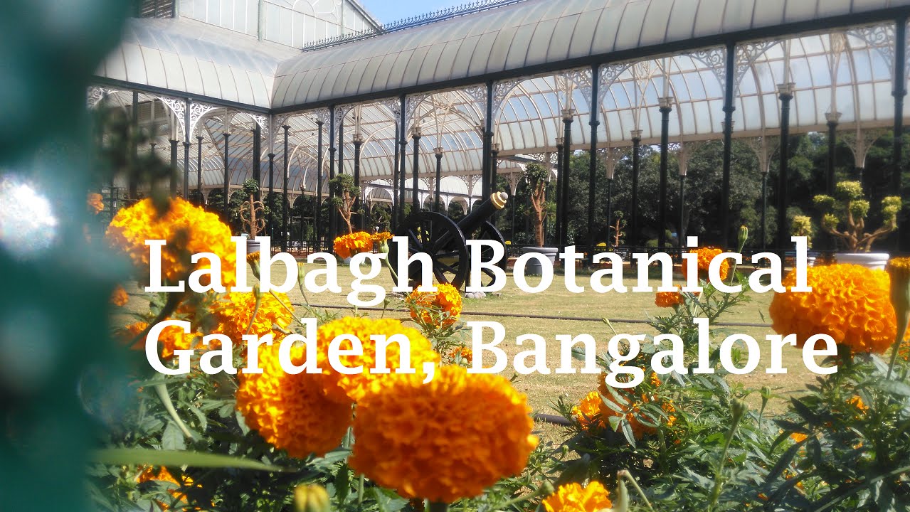 Lalbagh Botanical Garden Bangalore [Video Tour] Tourist Attraction