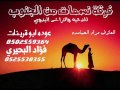 جديد جديد نسمات من الجنوب 2015 1
