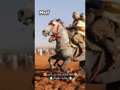 علفة رشيد ولاد بن ناصر ولاية معسكر