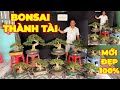 THÀNH TÀI | #0931239339 | LÙN LỰC THÀNH PHẨM NHIỀU DÁNG THẾ TUYỂN CHỌN MCT NU, LINH SAM ĐẶC SẢN...