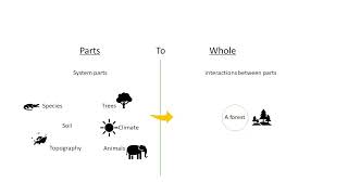 System Thinking – System Behaviour, Structure and Boundaries