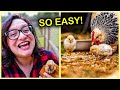 How to get a hen to raise baby chicks 