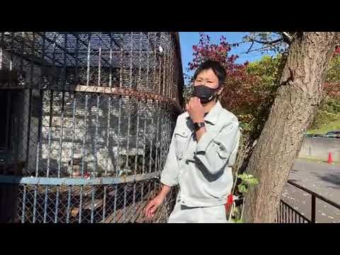 【旭川市旭山動物園】ワンポイントガイドオオカミ