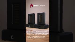 Aperion Audio DST Dual Firing AMT Super Tweeter Speaker