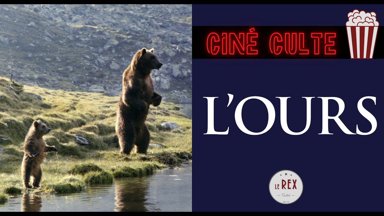 L'Ours - L'ascension de Jean-Jacques Annaud vers le succès - YouTube