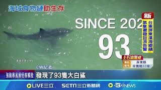 紐約長島驚見