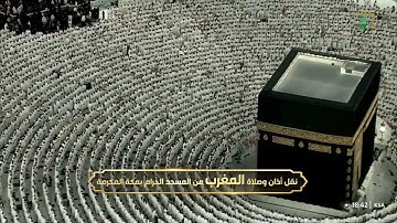 تلاوة ندية من سورة الحجرات 10-13 للشيخ أ.د. #عبدالرحمن_السديس | مغرب الخميس 6 #رمضان 1446هـ