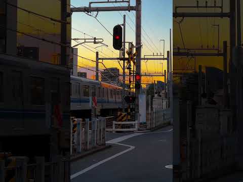 日が沈むころの東京の街って、なんか映画みたいな雰囲気あるよね。 Tokyo Sunset Vibes #東京散歩 #日本の美 #japanvibes #japantravel #cinematic