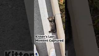 Compion Honors Forgotten Life