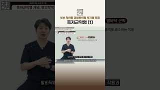 #족저근막염 발바닥만 치료하는게 아니에요! 족저근막염의 숨겨진 진실 (1)