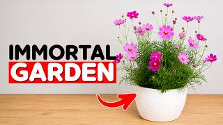 13 Low-Maintenance Plants That Come Back When You Stop Pulling Them
