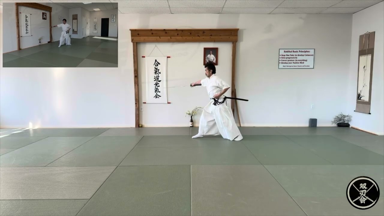 Muso Jikiden Eishin Ryu Renzoku Waza