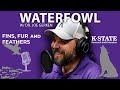 Duck! | Fins, Fur, and Feathers Episode 29 - Waterfowl Ecology at Ponds and Streams
