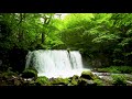 Nature of Japan 4k UHD Forest Waterfall. Nature Sounds for Sleep and Relaxation 10 hours.