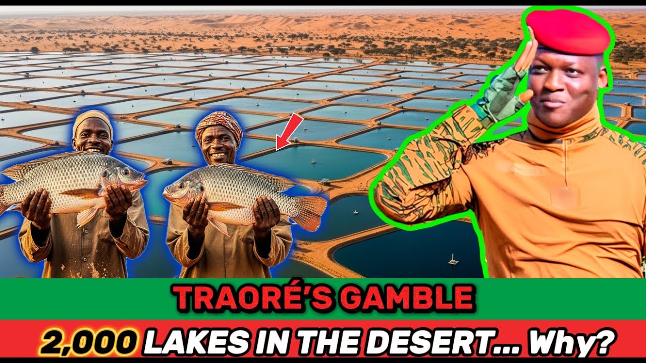 Аквакультура в пустыне: революция Ибрагима Траоре за суверенитет Африки