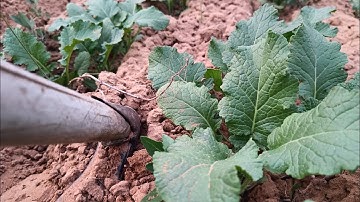 Day 1st vlog Mera Pehla Vlog | Welcome to My YouTube Family🎉🎉