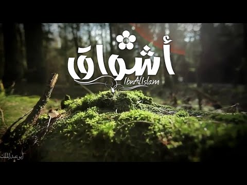 أشواق أبو عبدالملك 