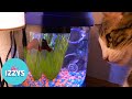 We have a 400 gallon aquarium - WHY DID WE BUY THIS?