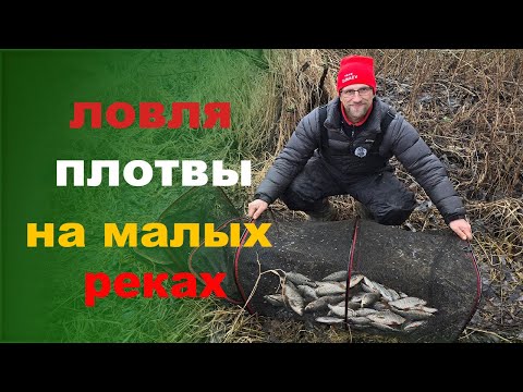 ловля плотвы на малой реке