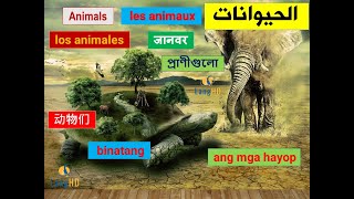 Learn Arabic Language - Animals  . Apprendre arabe - les animaux  . تعلم اللغة العربية - الحيوانات