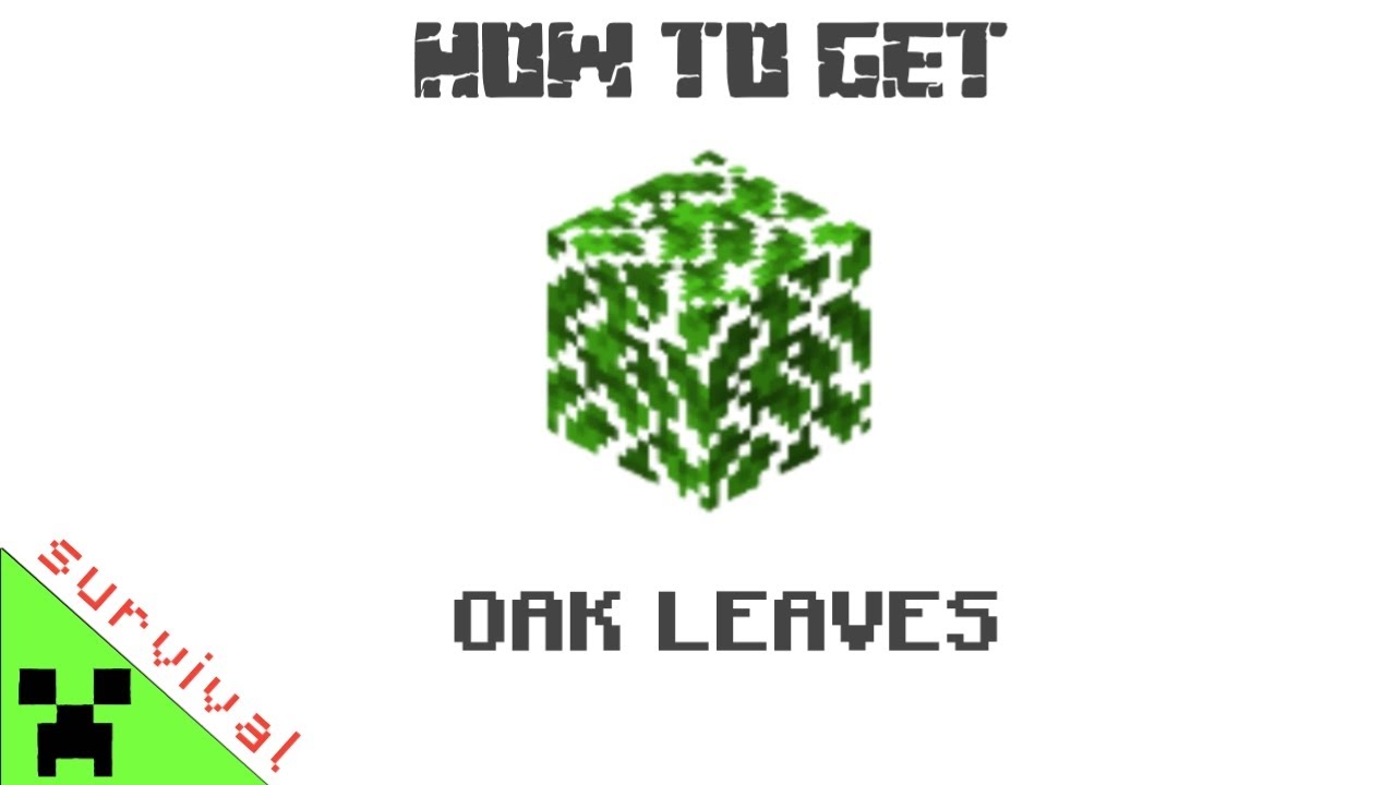 How to get OAK LEAVES in minecraft survival. YouTube
